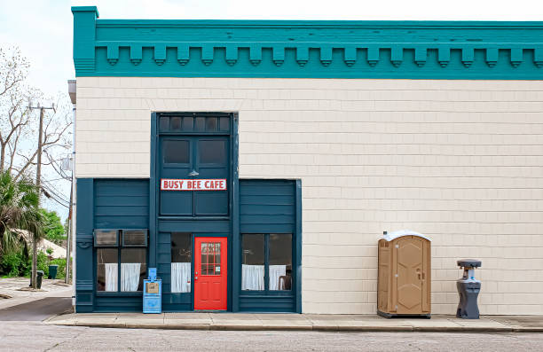 Best Affordable portable toilet rental  in Greenville, MI